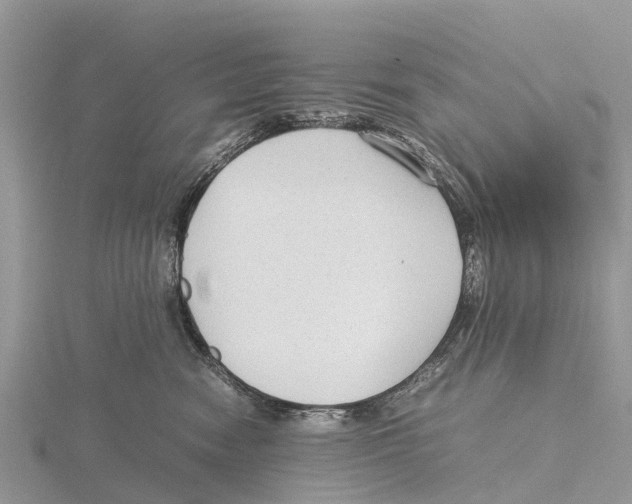 X0000115620474200912081027
