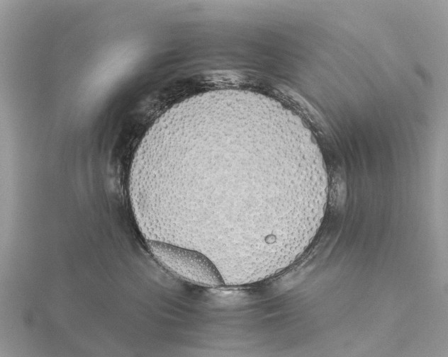 X0000115620477200912081027
