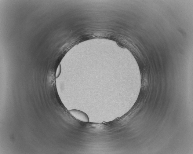 X0000115620478200912081027