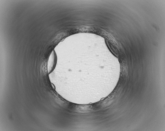 X0000115620479200912081027