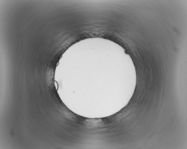 X0000115620480200912081027