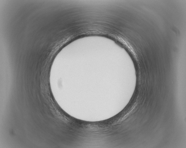 X0000115620481200912081026