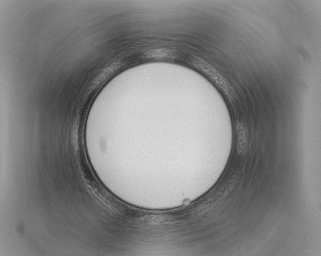 X0000115620482200912081026