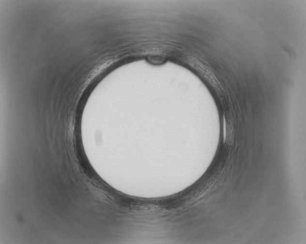 X0000115620483200912081026