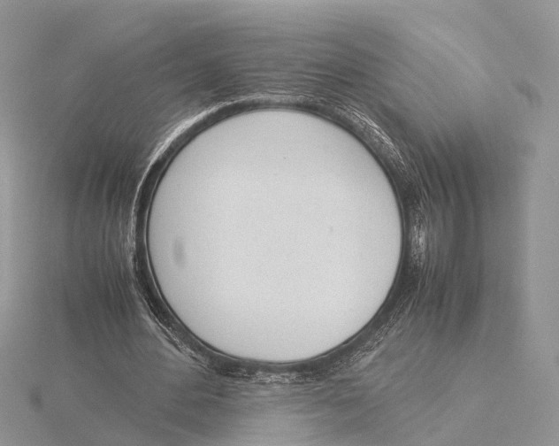 X0000115620484200912081026