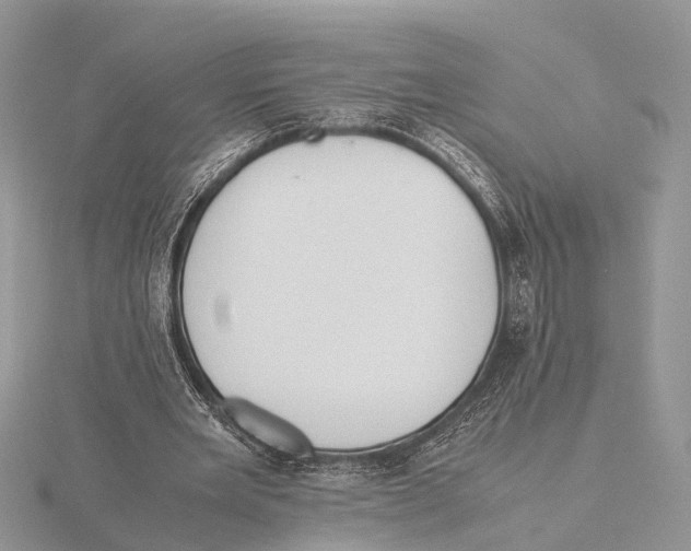 X0000115620485200912081026