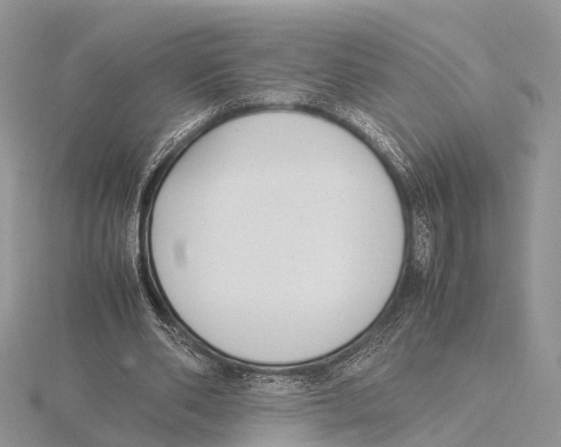 X0000115620486200912081026