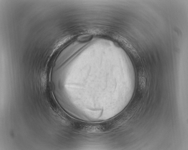 X0000115620488200912081026