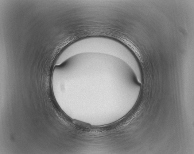 X0000115620489200912081026