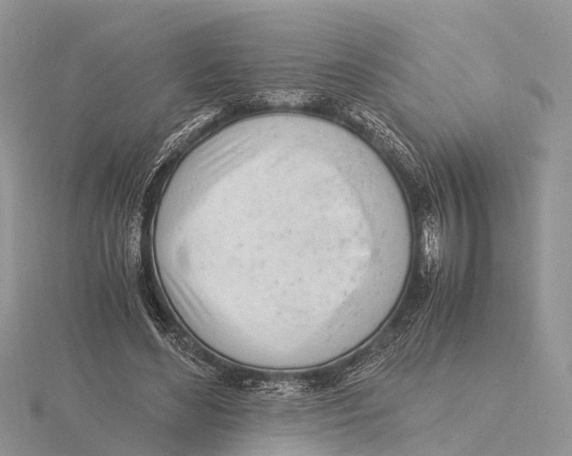 X0000115620492200912081026