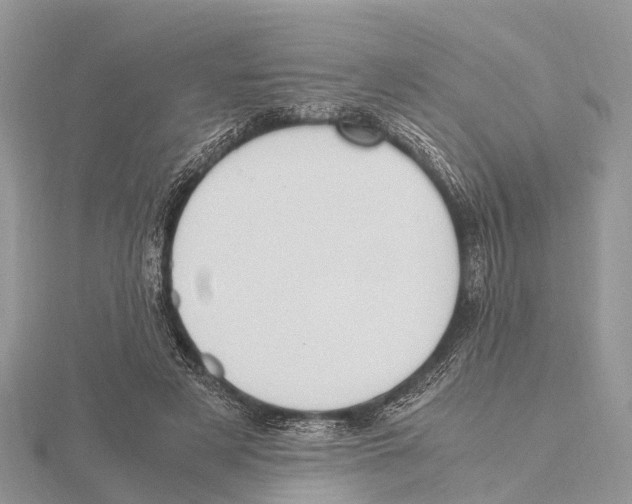 X0000115620497200912081026