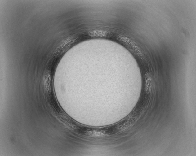 X0000115620498200912081026
