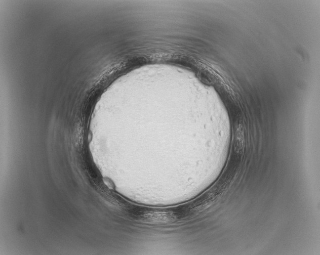 X0000115620499200912081026