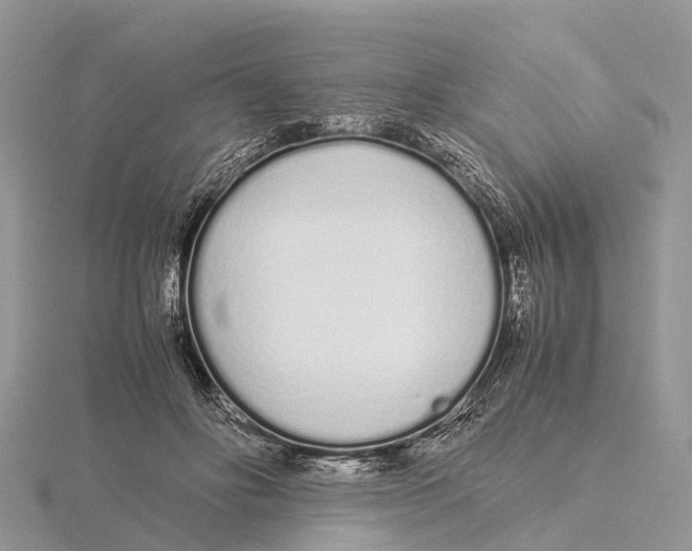 X0000115620502200912081026