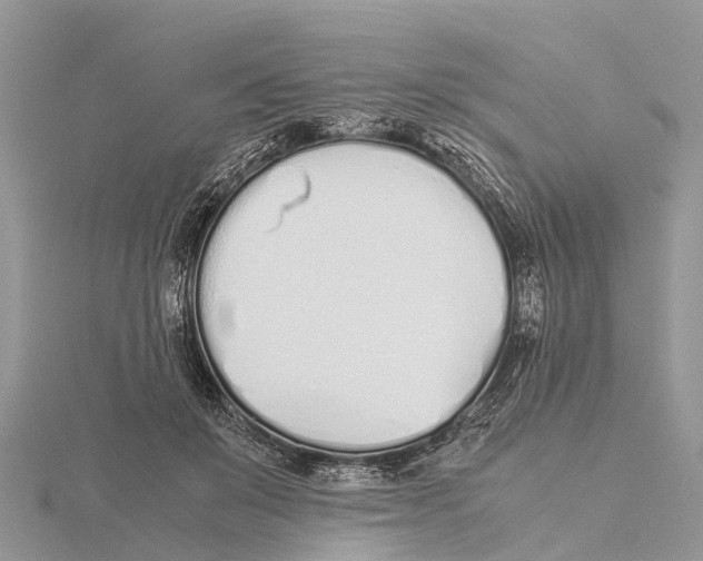 X0000115620503200912081026