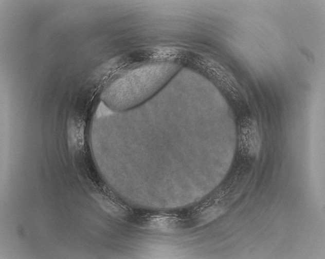 X0000115620504200912081026