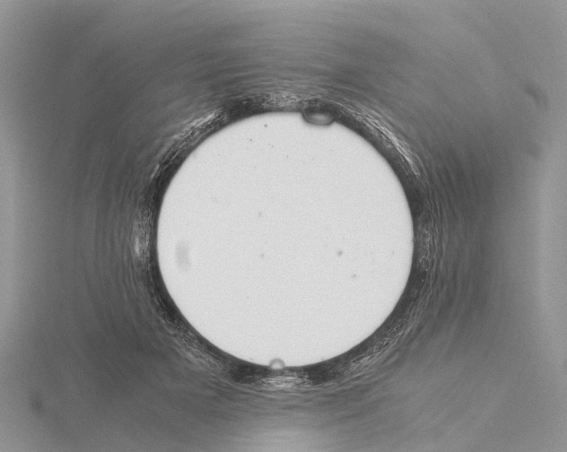 X0000115620505200912081026