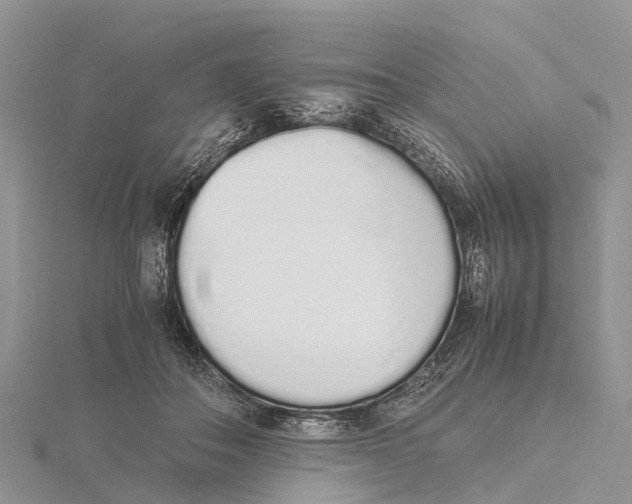 X0000115620506200912081026