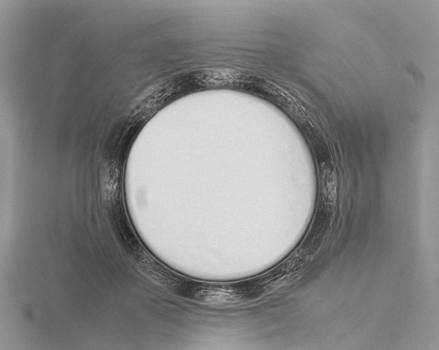 X0000115620507200912081026