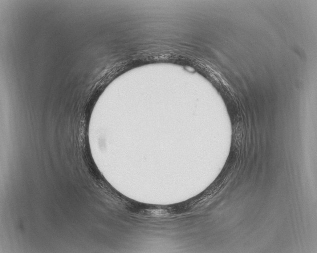 X0000115620509200912081026