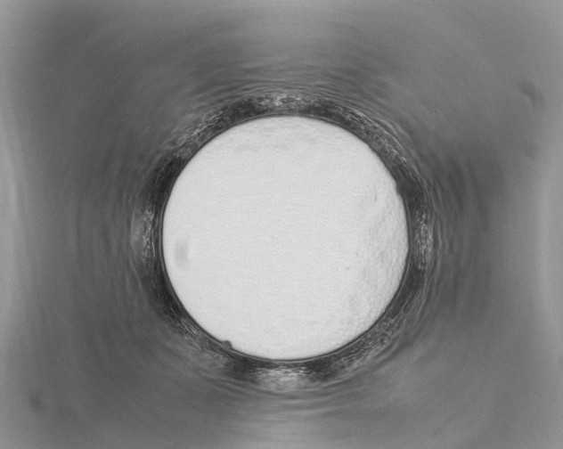 X0000115620511200912081026