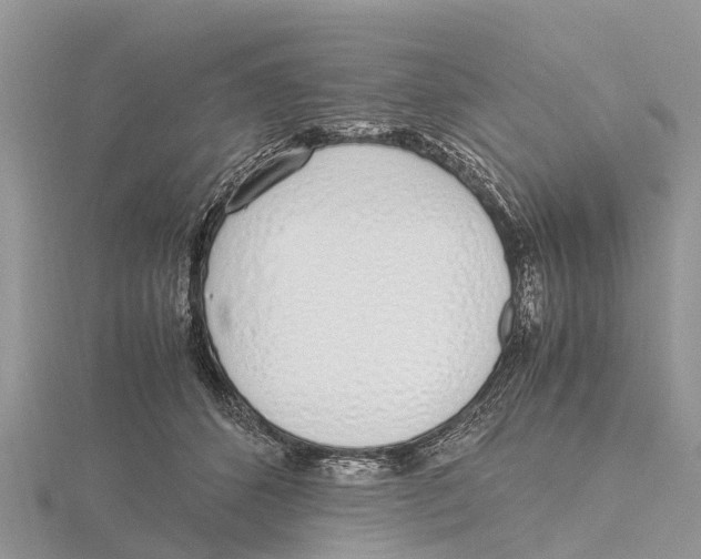 X0000115620512200912081026