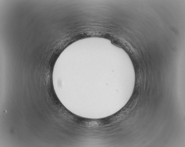 X0000115620513200912081026