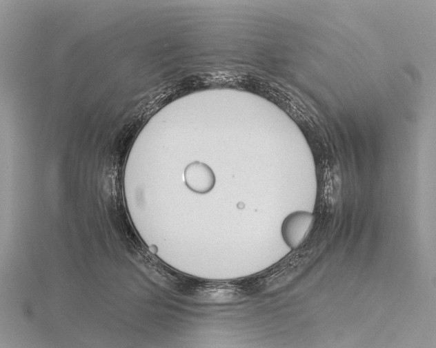 X0000115620514200912081026