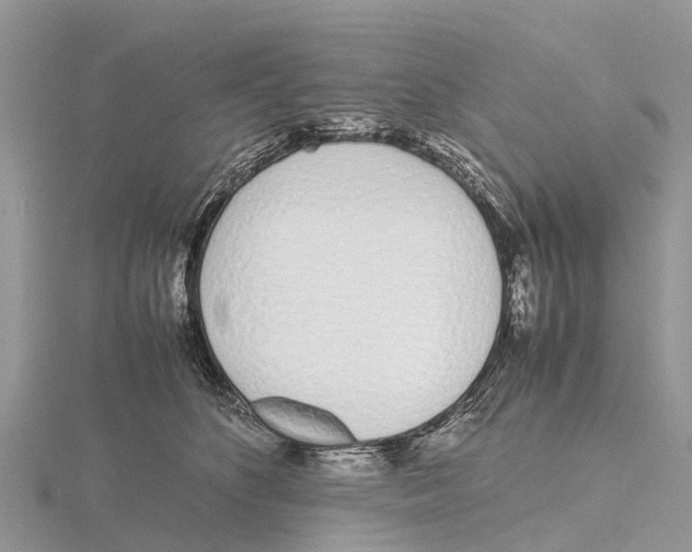 X0000115620516200912081026