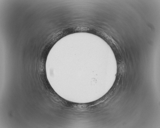 X0000115620517200912081026