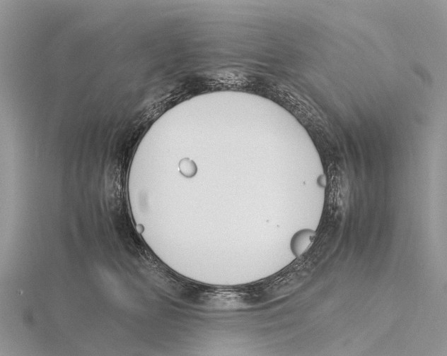 X0000115620518200912081026