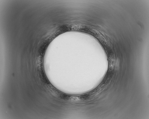 X0000115620519200912081026