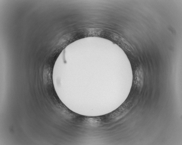 X0000115620522200912081026
