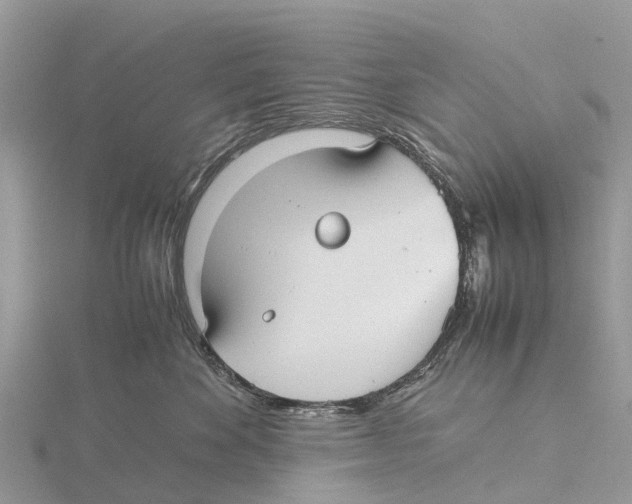 X0000115620524200912081026