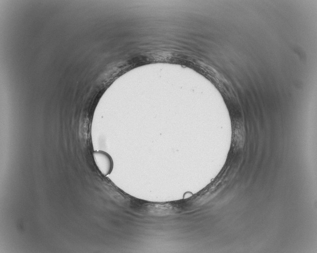 X0000115620525200912081026