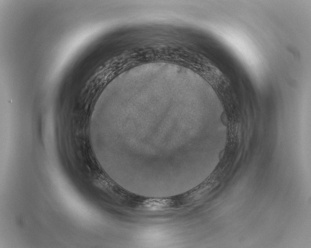 X0000115620526200912081026
