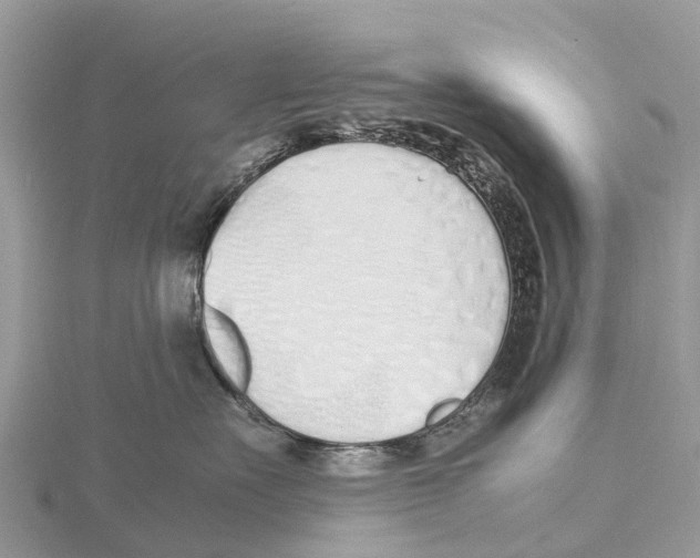 X0000115620527200912081026