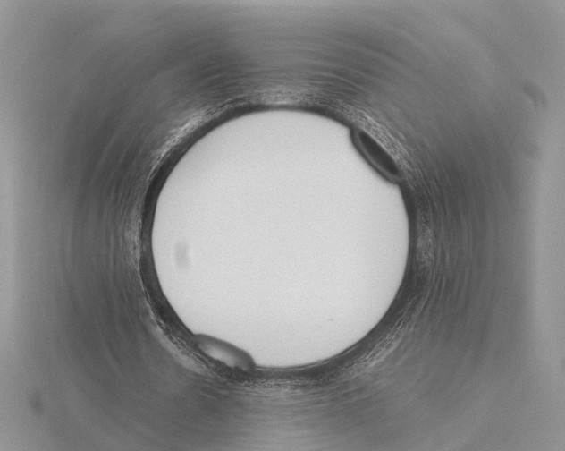 X0000115620530200912081025