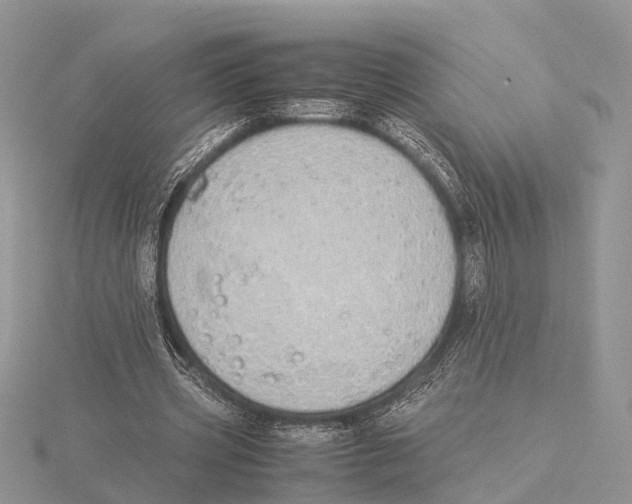 X0000115620533200912081025