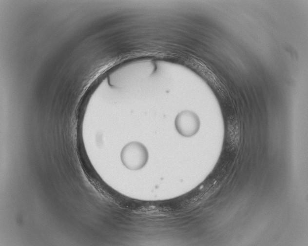 X0000115620534200912081025