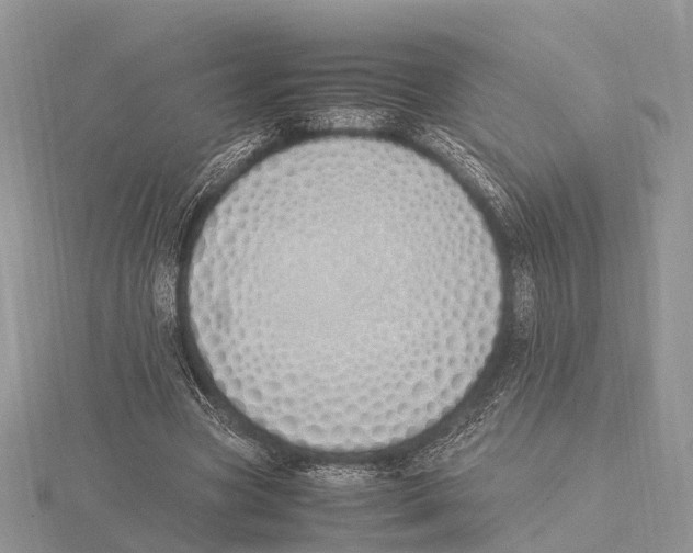 X0000115620537200912081025