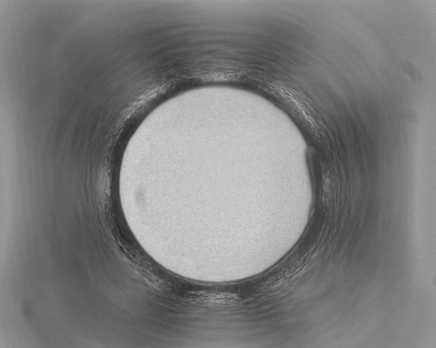 X0000115620539200912081025