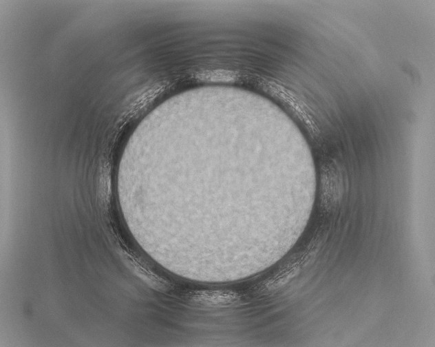 X0000115620541200912081025