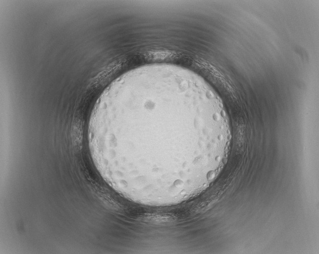 X0000115620545200912081025