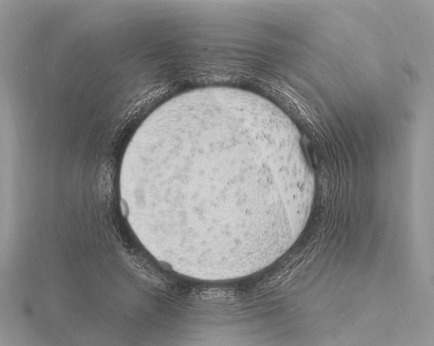 X0000115620546200912081025