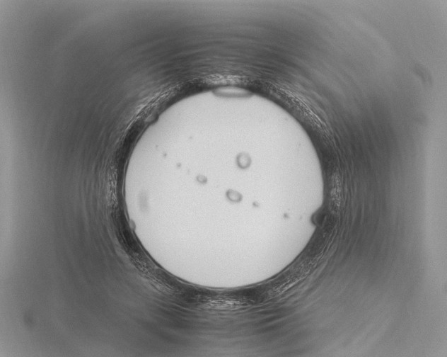 X0000115620547200912081025