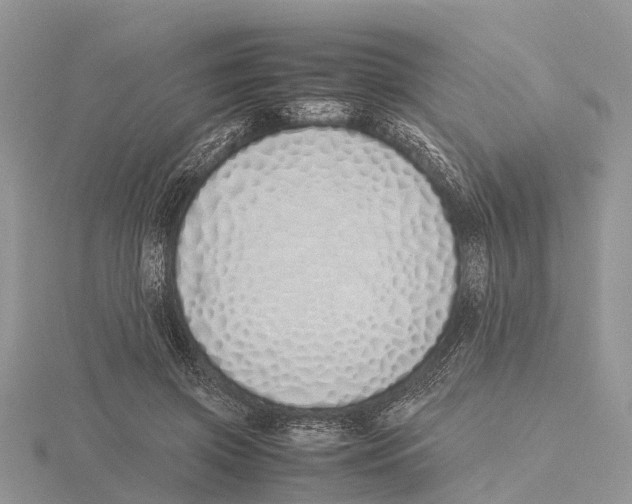 X0000115620549200912081025