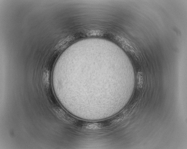 X0000115620550200912081025