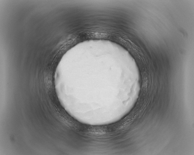 X0000115620553200912081025