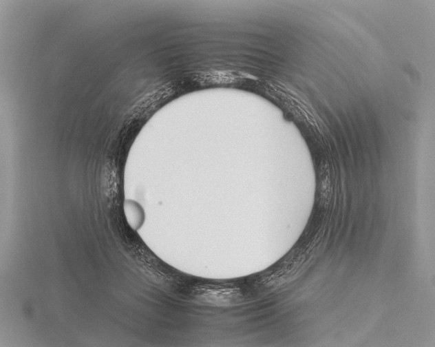 X0000115620555200912081025